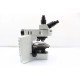 Olympus BX51 Upright Fluorescence Phase Contrast Mechanical Microscope (New Filters)