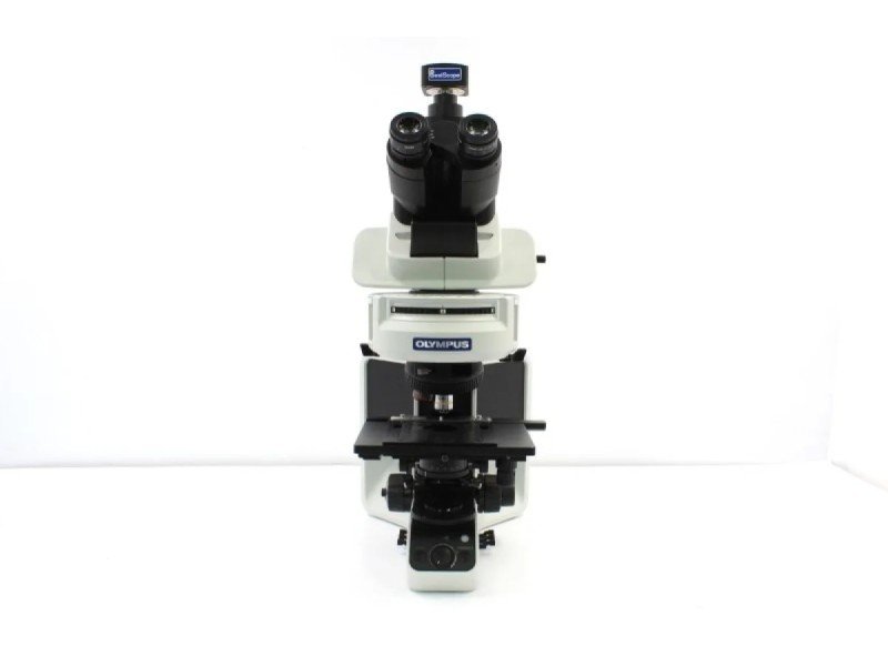 Olympus BX53 Upright Fluorescence Microscope w/ (New Filters)