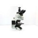 Olympus BX53 Upright Fluorescence Microscope w/ (New Filters)