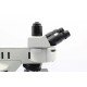 Olympus BX53 Fluorescence Motorized XY Microscope w/ (New Filters)