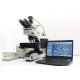 Olympus BX53 Fluorescence Motorized XY Microscope w/ (New Filters)