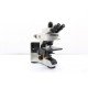 Olympus BX53 Fluorescence Motorized XY Microscope w/ (New Filters)