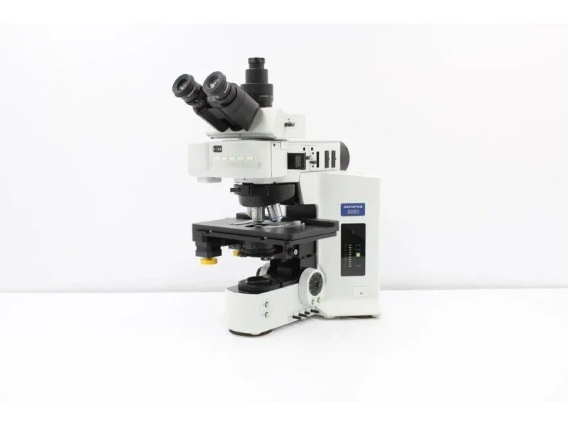 Olympus BX61 Upright Fluorescence Microscope with Motorized XY