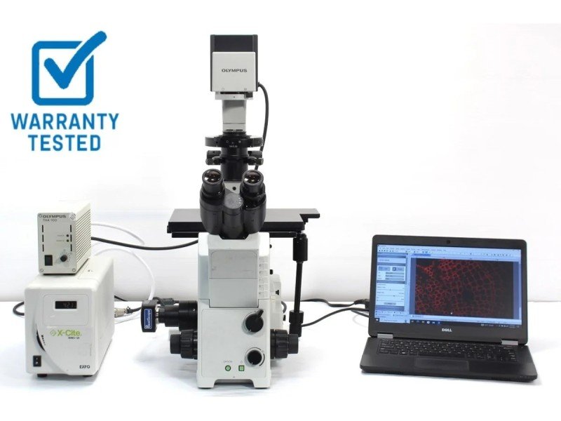 Olympus IX71 Inverted Fluorescence Microscope (New Filters) Olympus IX71 Inverted Fluorescence Microscope (New Filters)