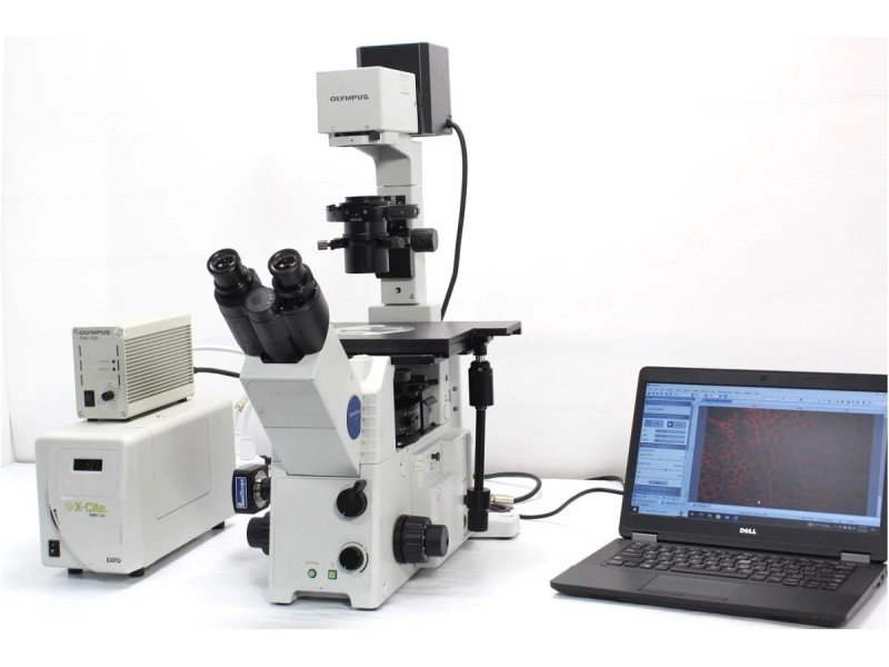 Olympus IX71 Inverted Fluorescence Microscope (New Filters) Olympus IX71 Inverted Fluorescence Microscope (New Filters)