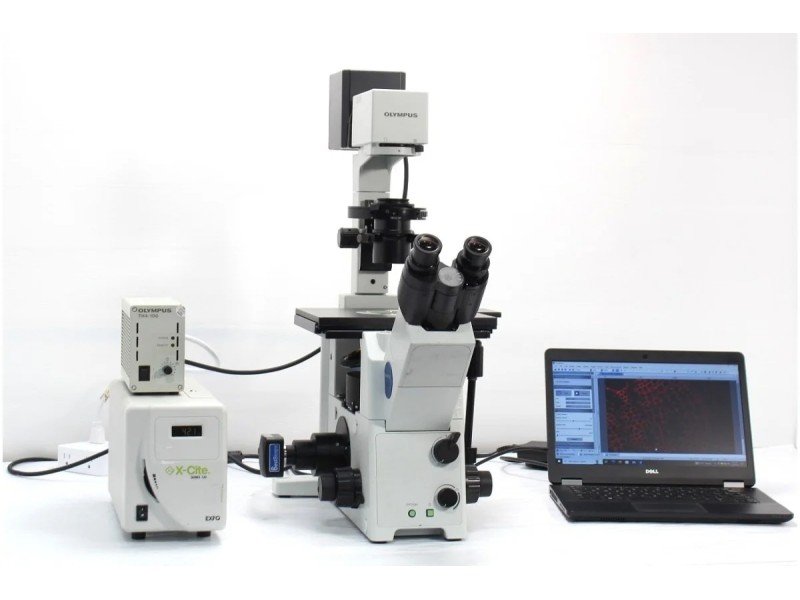 Olympus IX71 Inverted Fluorescence Microscope (New Filters) Olympus IX71 Inverted Fluorescence Microscope (New Filters)