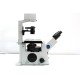 Olympus IX71 Inverted Fluorescence Microscope (New Filters) Olympus IX71 Inverted Fluorescence Microscope (New Filters)