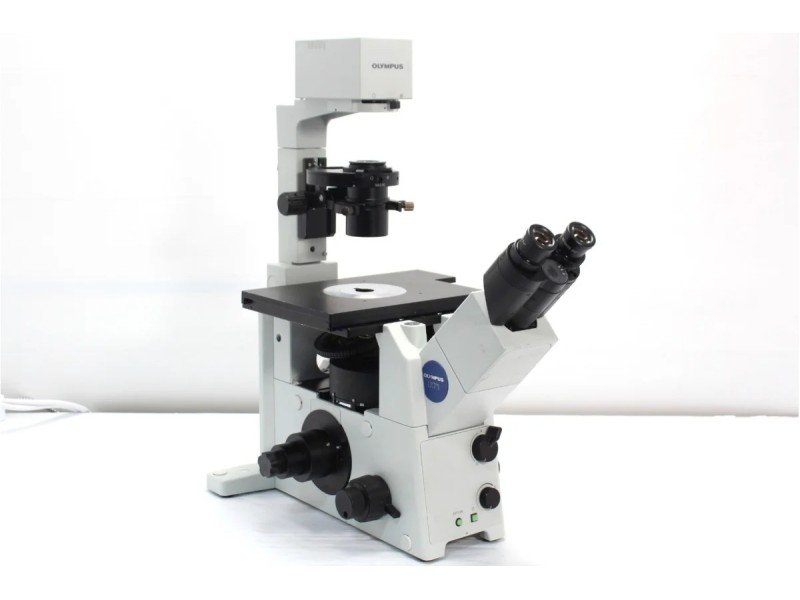 Olympus IX71 Inverted Fluorescence Microscope (New Filters) Olympus IX71 Inverted Fluorescence Microscope (New Filters)