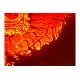 Olympus IX71 Inverted Fluorescence Phase Contrast Microscope (New Filters) Olympus IX71 Inverted Fluorescence Phase Contrast Microscope (New Filters)
