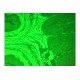 Olympus IX71 Inverted Fluorescence Phase Contrast Microscope (New Filters) Olympus IX71 Inverted Fluorescence Phase Contrast Microscope (New Filters)