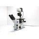 Olympus IX71 Inverted Fluorescence Phase Contrast Microscope (New Filters) Olympus IX71 Inverted Fluorescence Phase Contrast Microscope (New Filters)