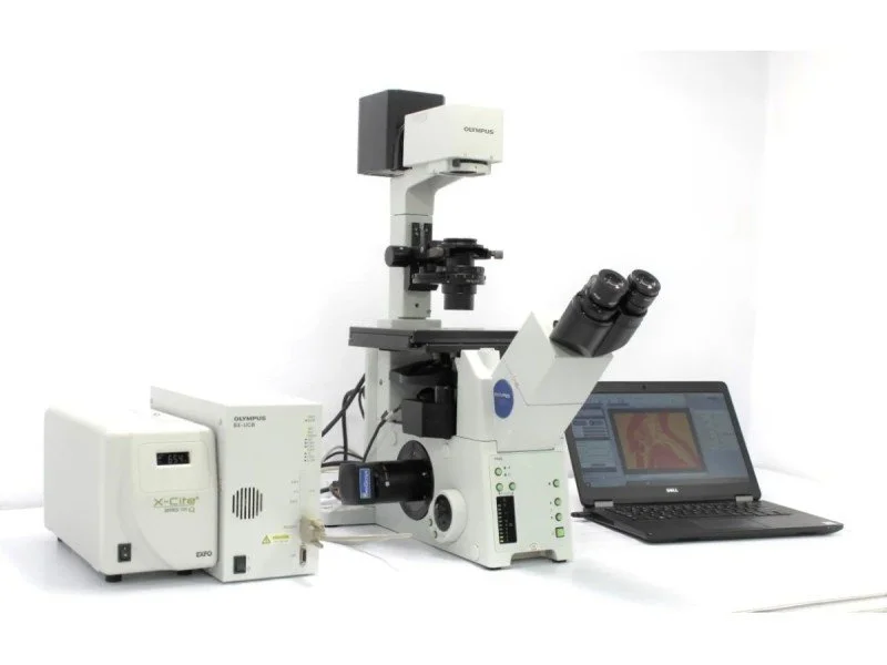 Olympus IX81 Inverted Fluorescence Motorized Microscope (New Filters)