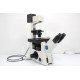 Olympus IX81 Inverted Fluorescence Motorized XY Microscope (New Filters)