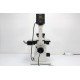 Olympus IX81 Inverted Fluorescence Motorized XY Microscope (New Filters)