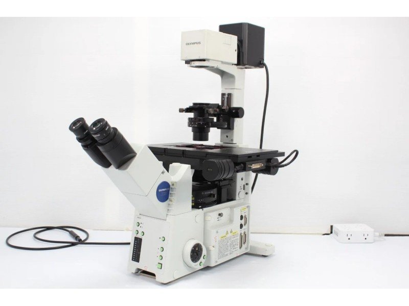 Olympus IX81 Inverted Fluorescence Motorized XY Microscope (New Filters)