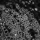 Thermo Scientific CellInsight CX5 High Content Screening Microscopy Platform