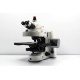 Zeiss AXIO Imager 2 .Z2 Fluorescence Motorized LED Microscope w/Piezo Stage (New Filters)