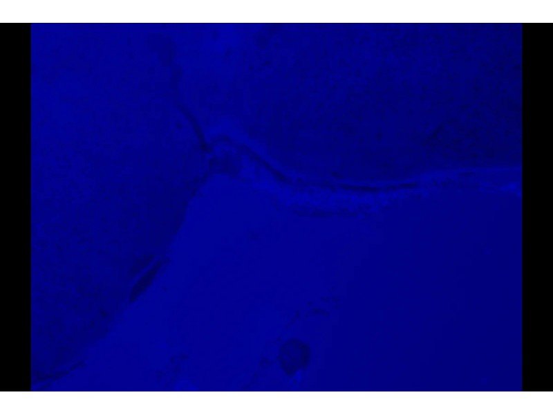 Zeiss Axiovert 200m Inverted Fluorescence Motorized Condenser Microscope (New Filters)