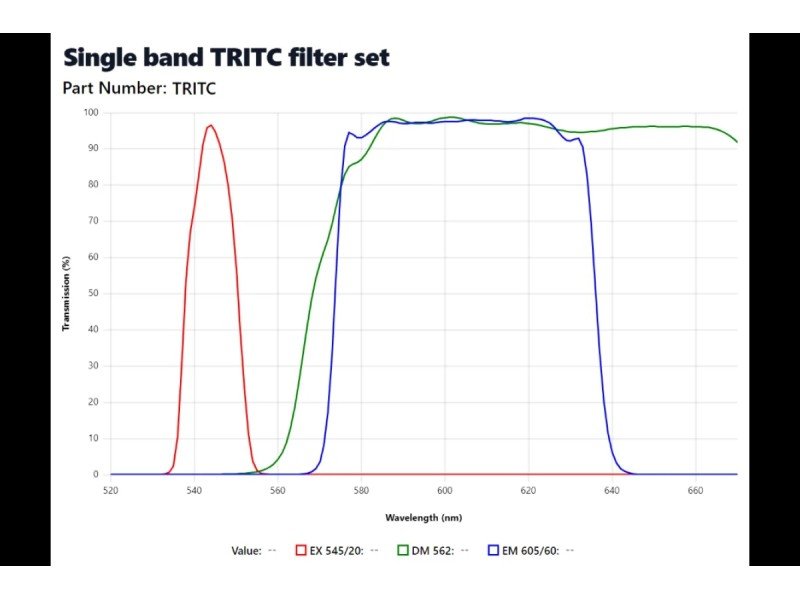 Zeiss Axiovert 200m Inverted Fluorescence Motorized Condenser Microscope (New Filters)