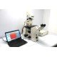 Zeiss Axiovert 200m Inverted Fluorescence Motorized Condenser Microscope (New Filters)