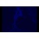 Zeiss Observer D1 Inverted Fluorescence Microscope (New Filters) Zeiss Observer D1 Inverted Fluorescence Microscope (New Filters)
