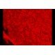 Zeiss Observer D1 Inverted Fluorescence Microscope (New Filters) Zeiss Observer D1 Inverted Fluorescence Microscope (New Filters)