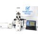 Zeiss AXIO Observer Z1 Inverted Fluorescence Motorized Microscope (New Filters)
