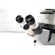 Zeiss AXIO Observer Z1 Inverted Fluorescence Motorized Microscope (New Filters)