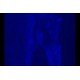 Zeiss AXIO Observer Z1 Inverted Fluorescence Motorized XY Microscope Zeiss AXIO Observer Z1 Inverted Fluorescence Motorized XY Microscope
