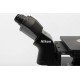 Nikon Ti2-U Inverted Fluorescence Microscope