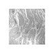 Andor Zyla 4.2 PLUS sCMOS Microscope Camera Andor Zyla 4.2 PLUS sCMOS Microscope Camera