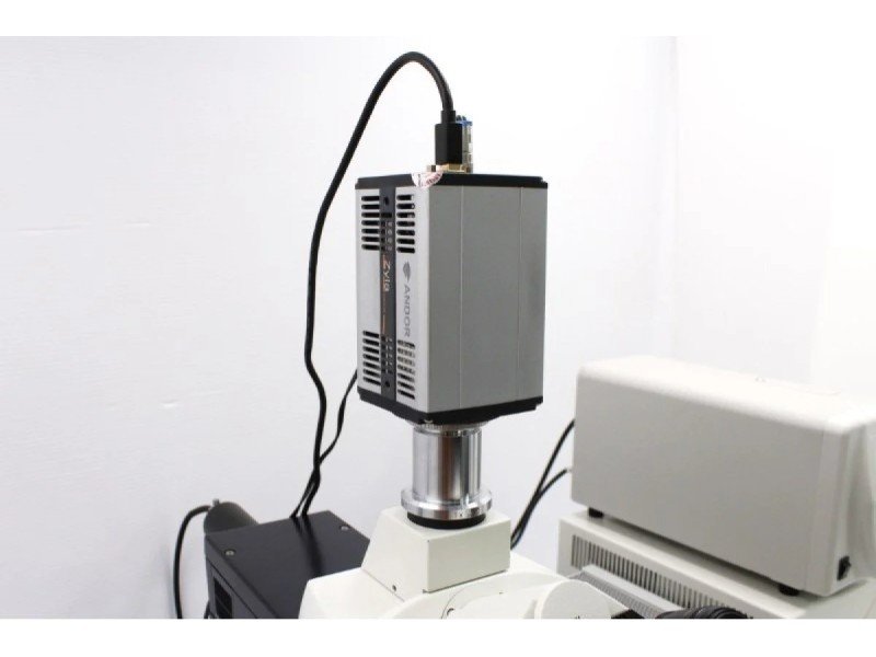 Andor Zyla 4.2 PLUS sCMOS Microscope Camera Andor Zyla 4.2 PLUS sCMOS Microscope Camera