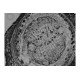 Thermo Invitrogen EVOS M5000 Phase Contrast Fluorescence Microscope Imaging System Thermo Invitrogen EVOS M5000 Phase Contrast Fluorescence Microscope Imaging System
