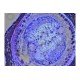 Thermo Invitrogen EVOS M5000 Phase Contrast Fluorescence Microscope Imaging System Thermo Invitrogen EVOS M5000 Phase Contrast Fluorescence Microscope Imaging System