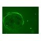 Thermo Invitrogen EVOS M5000 Phase Contrast Fluorescence Microscope Imaging System Unit 2 Thermo Invitrogen EVOS M5000 Phase Contrast Fluorescence Microscope Imaging System Unit 2