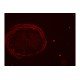 Thermo Invitrogen EVOS M5000 Phase Contrast Fluorescence Microscope Imaging System Unit 2 Thermo Invitrogen EVOS M5000 Phase Contrast Fluorescence Microscope Imaging System Unit 2