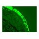 Thermo Invitrogen EVOS M5000 Phase Contrast Fluorescence Microscope Imaging System Unit 2 Thermo Invitrogen EVOS M5000 Phase Contrast Fluorescence Microscope Imaging System Unit 2