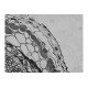 Thermo Invitrogen EVOS M5000 Phase Contrast Fluorescence Microscope Imaging System Unit 2 Thermo Invitrogen EVOS M5000 Phase Contrast Fluorescence Microscope Imaging System Unit 2
