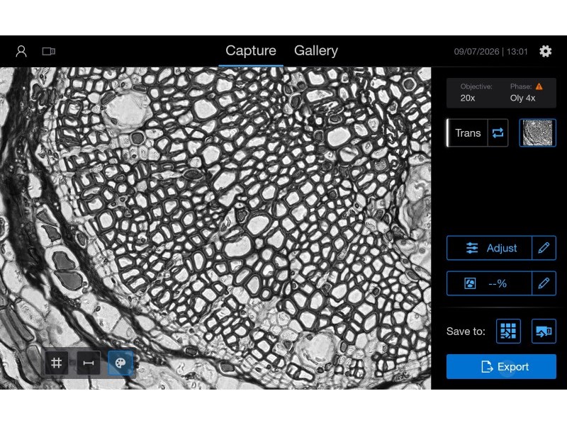 Thermo Invitrogen EVOS M3000 Phase Contrast Microscope Imaging System
