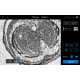 Thermo Invitrogen EVOS M3000 Phase Contrast Microscope Imaging System