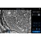 Thermo Invitrogen EVOS M3000 Phase Contrast Microscope Imaging System