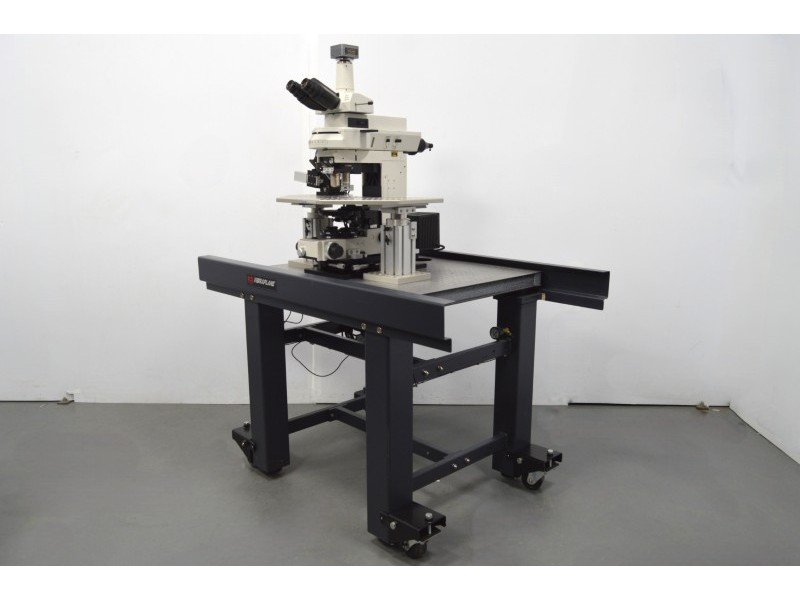 Nikon FN1 Fluorescence Water Immersion Capable Microscope w/ Sutter Fixed Stage suitable for Electrophysiology Rig