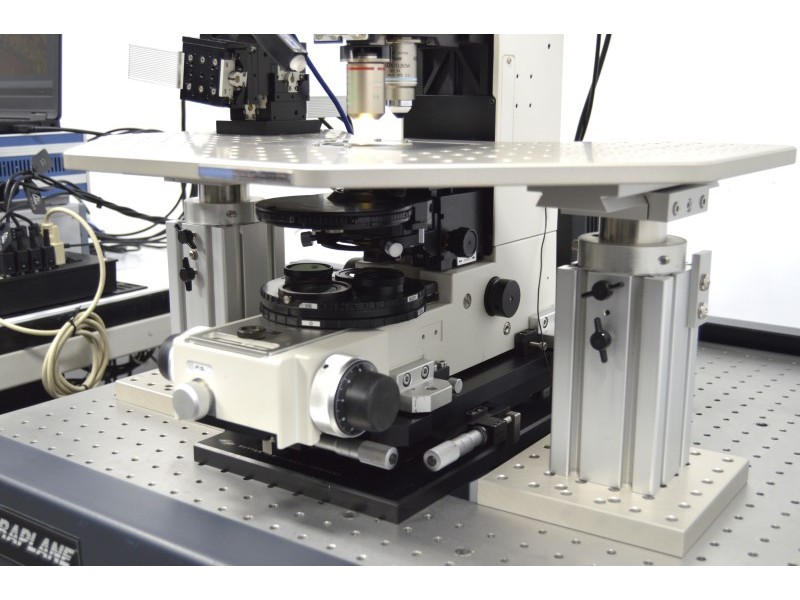 Nikon FN1 Fluorescence Water Immersion Capable Microscope w/ Sutter Fixed Stage suitable for Electrophysiology Rig