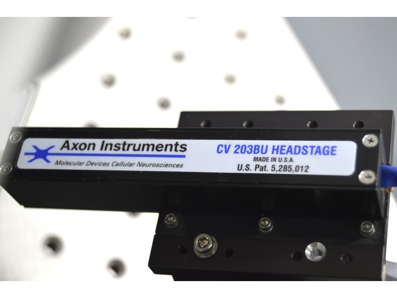 Nikon FN1 Fluorescence Water Immersion Capable Microscope w/ Sutter Fixed Stage suitable for Electrophysiology Rig