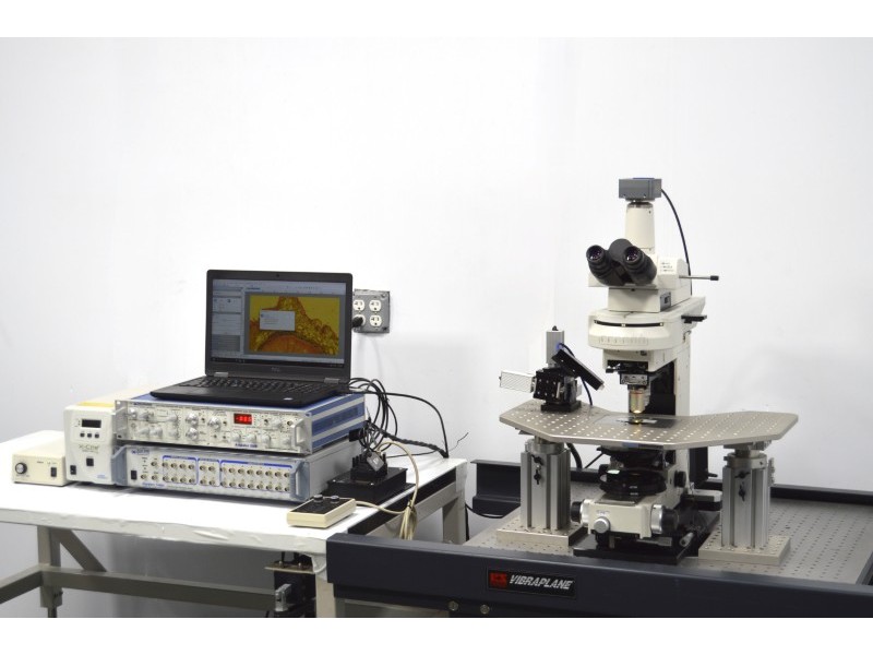 Nikon FN1 Fluorescence Water Immersion Capable Microscope w/ Sutter Fixed Stage suitable for Electrophysiology Rig