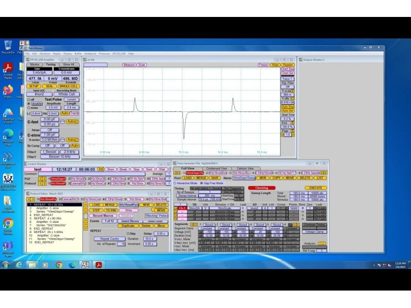 Nikon Electrophysiology Rig DIC Fluorescence Microscope w/ Sutter Micromanipulator MP-285, HEKA EPC 10 Patch Clamp, Faraday Cage