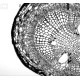 Andor DR-328G-CO1-SIL Clara Monochrome CCD Microscope Camera