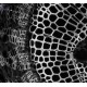 Andor DR-328G-CO1-SIL Clara Monochrome CCD Microscope Camera