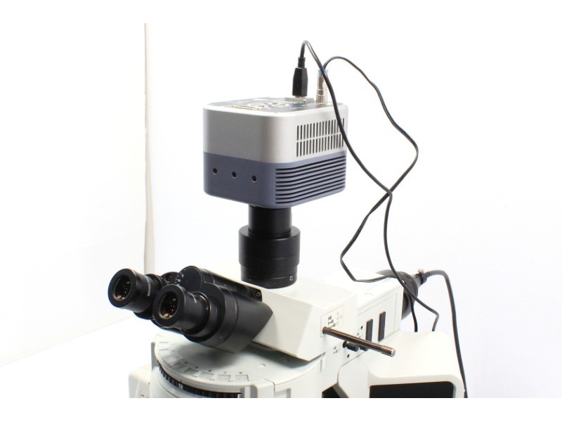 Andor DR-328G-CO1-SIL Clara Monochrome CCD Microscope Camera