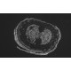 Zeiss Axiocam 702 CMOS Monochrome Microscope Camera